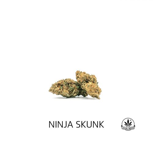 NINJA SKUNK