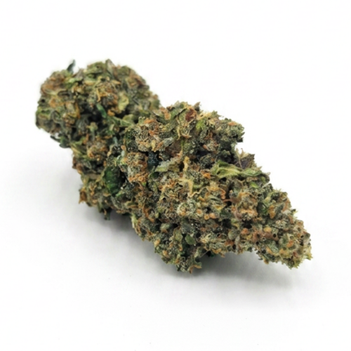 Alternative view of AMNESIA INDOOR