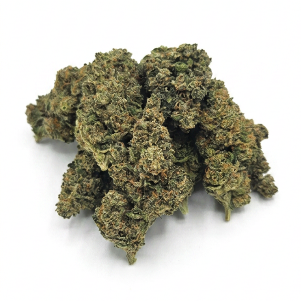 AMNESIA INDOOR