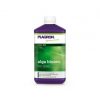 Alga Bloom Plagron