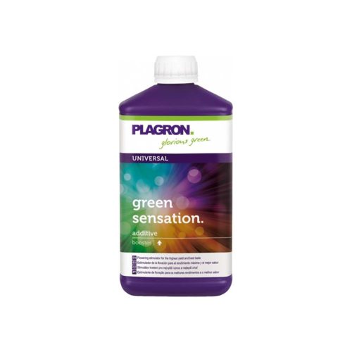 Green Sensaction Plagron