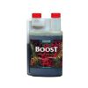 Boost Accelerator Canna
