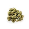 buddy bubblegum