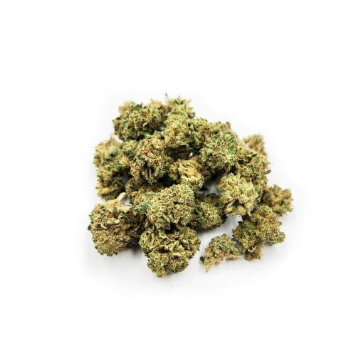 buddy bubblegum
