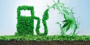 Etanolo di canapa: il nuovo combustibile del futuro