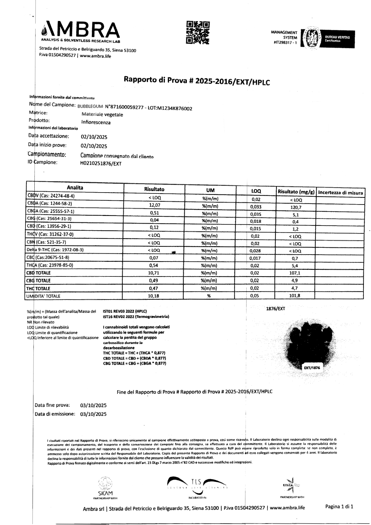 analisi passion gorilla strwaberry page 0003