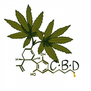 Come si fuma la canapa light: fumare Marijuana Legale - con 1 consiglio speciale