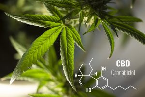 10 prodotti al cbd