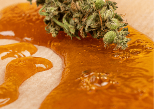 Estratti di CBD, cosa sono? La guida definitiva per principianti