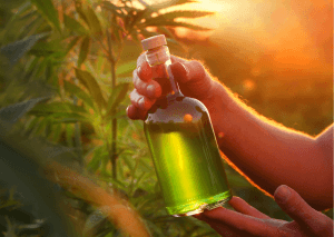 Fai-da-te: Liquore alla Canapa in casa