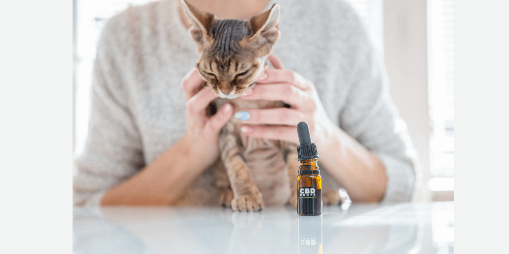 cbd per animali