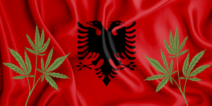cannabis in albania