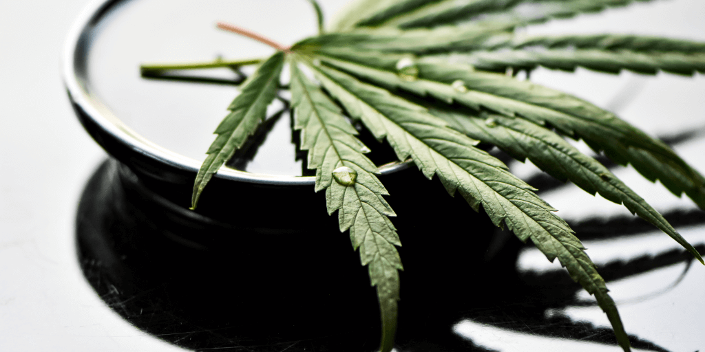THC e Oppiacei: Come il Cannabinoide può Potenziare l'Effetto degli Antidolorifici