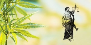cbd olio illegale