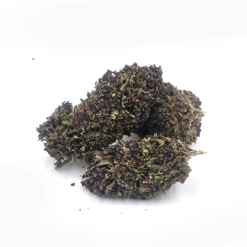 purple legalweed sfuso