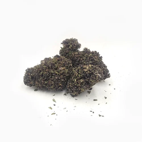 purple legalweed sfuso2