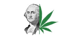 George Washington e la Coltivazione della Canapa