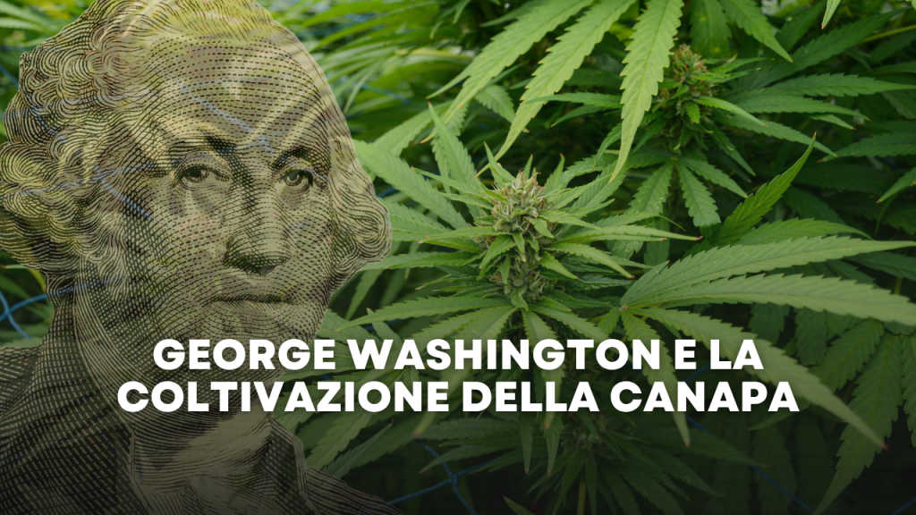 George Washington e la Coltivazione della Canapa