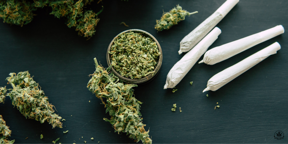 La cannabis permane nel nostro organismo per secoli: uno studio italiano rivela tracce nel XVII secolo
