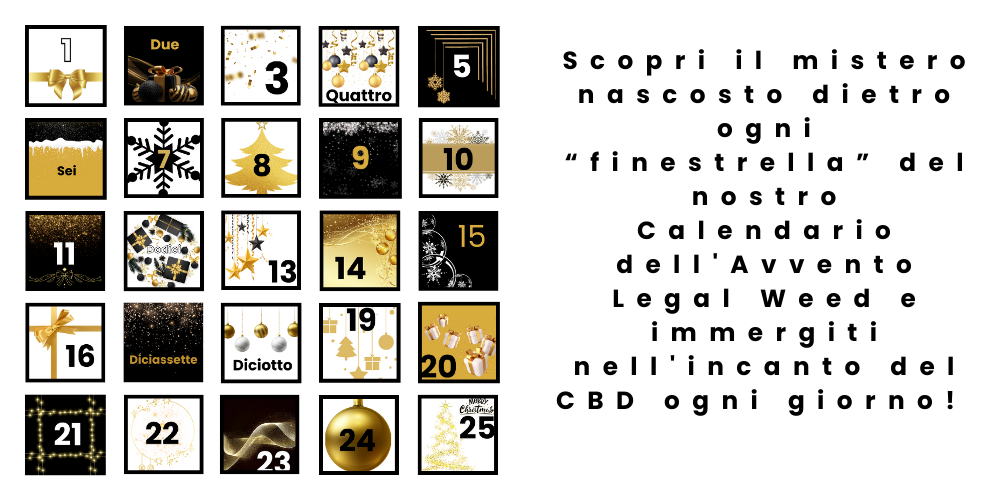 calendario dell'avvento legal weed
