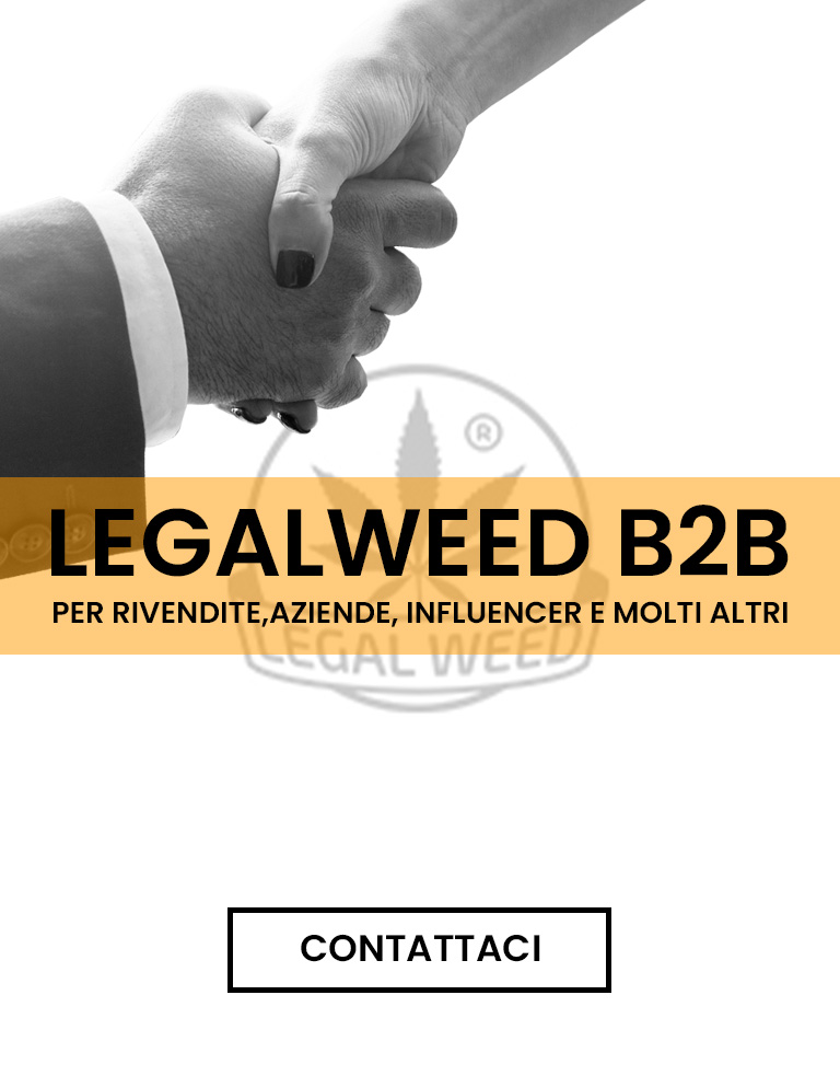 BANNER LEGALWEED MOB RIVENDITORI