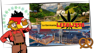 Cannabis in Germania