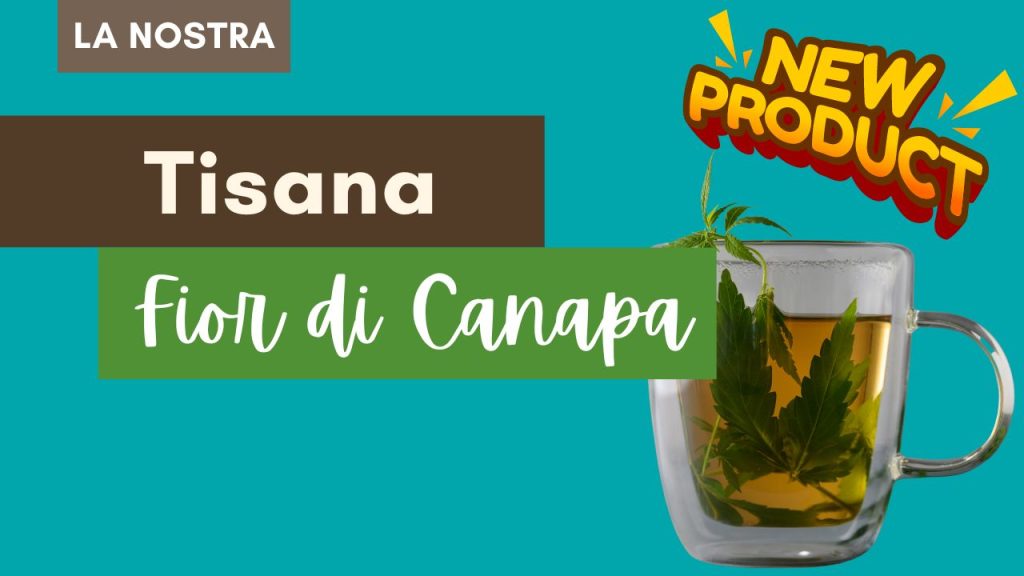 Tisana Fior di Canapa