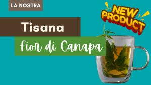 Tisana Fior di Canapa