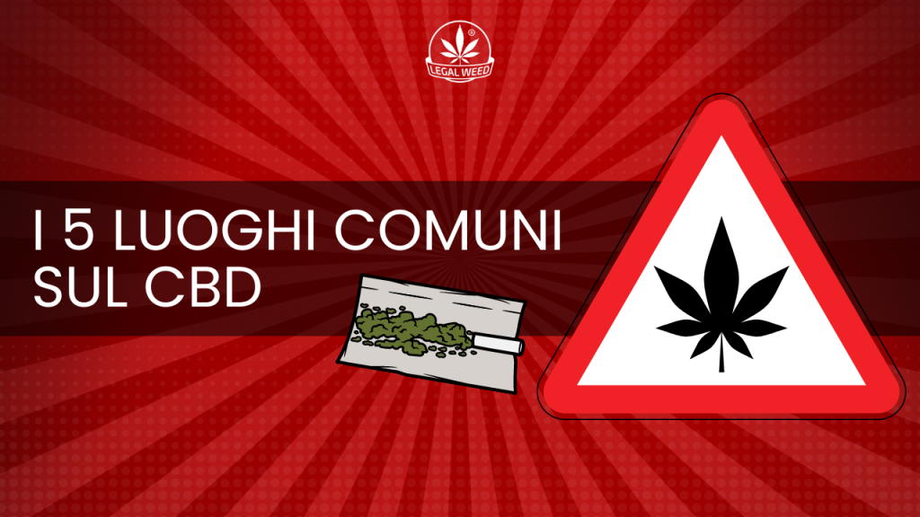SCOPRI I 5 LUOGHI COMUNI SUL CBD BY LEGALWEED
