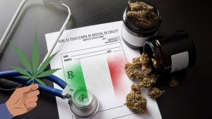 cannabis terapeutica