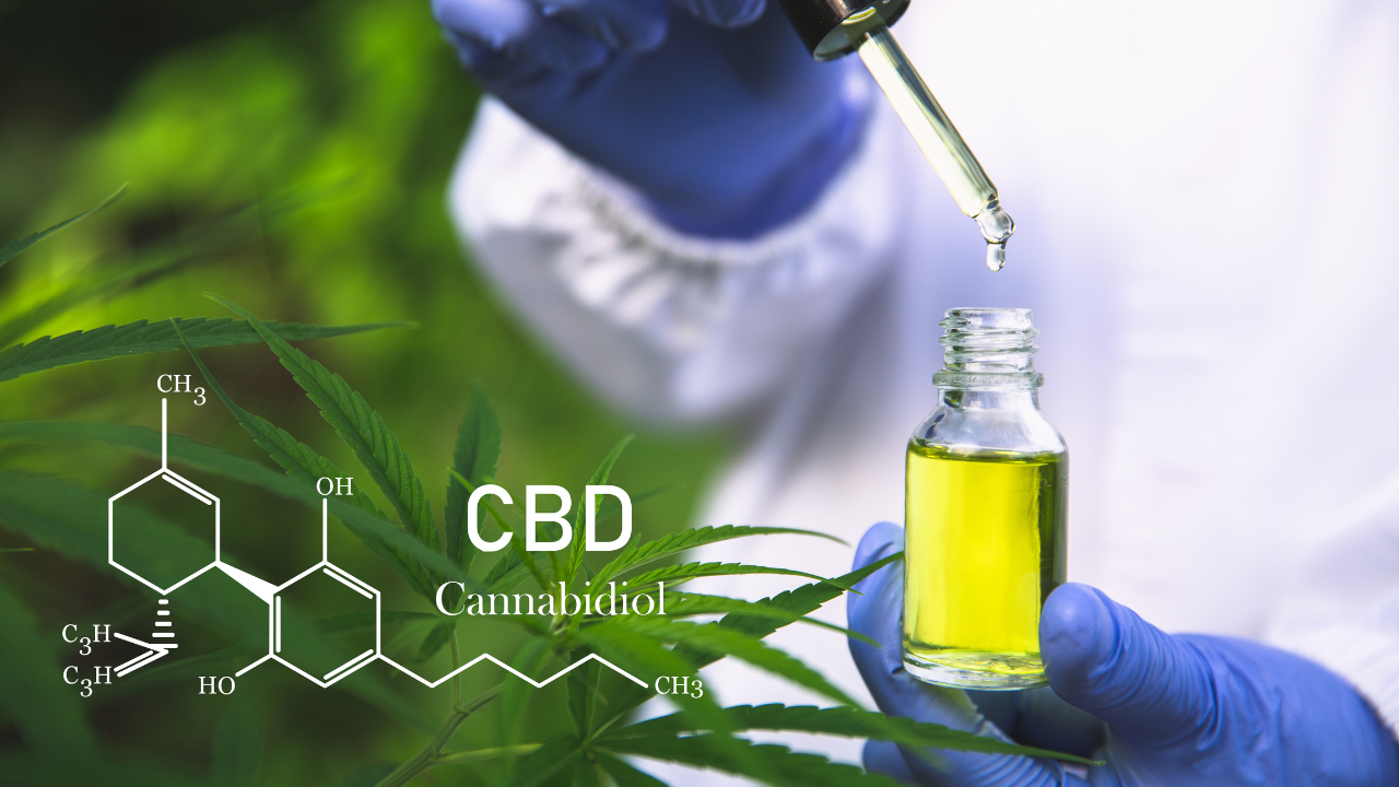 CBD CTA ITALIA LEGALWEED (1)