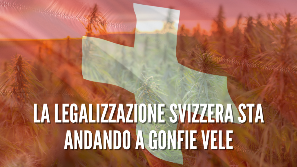 la legalizzazione svizzera legalweed cbd italia