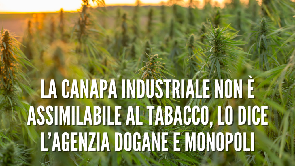 adm dal il via libera alla canapa non è comparabile al tabacco