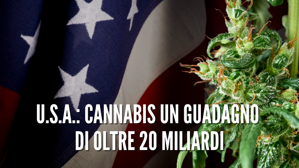 tasse e guadagni usa cannabis legalweed