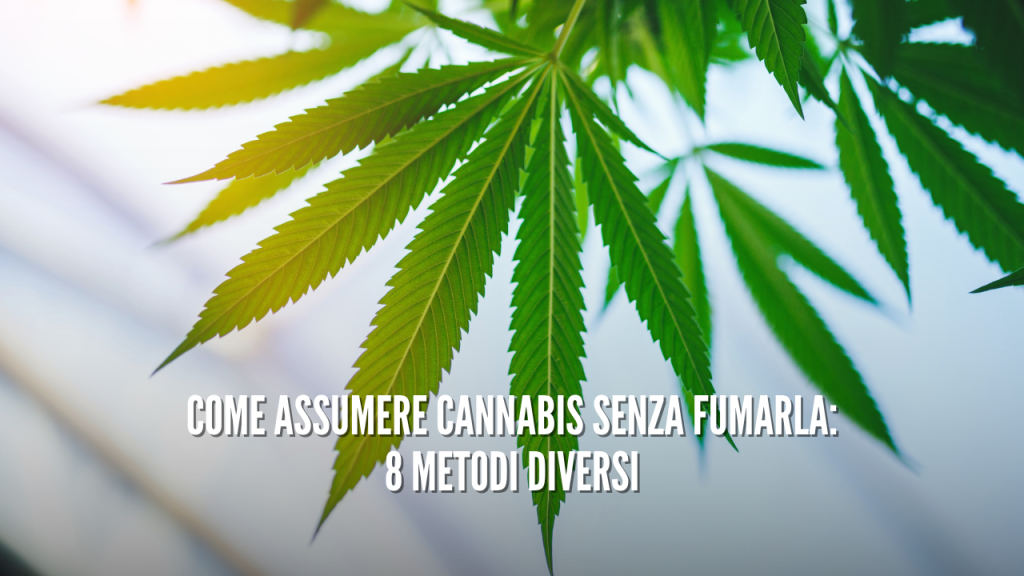 COME ASSUMERE CANNABIS SENZA FUMARLA: 8 METODI DIVERSI