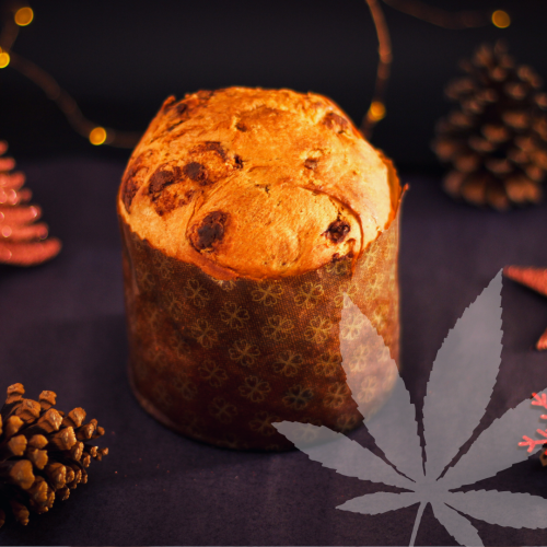 panettone di natale legalweed