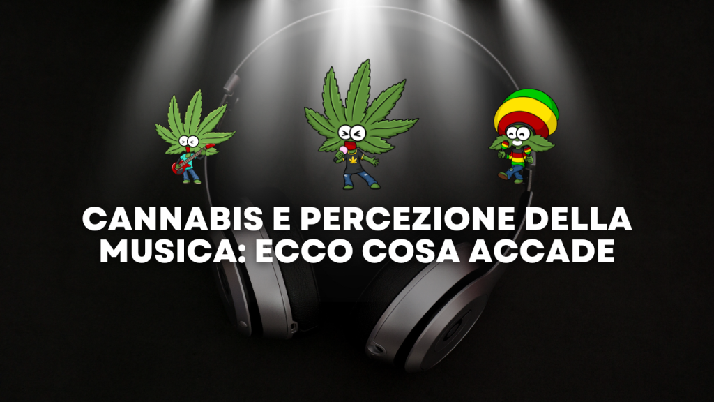 cannabis e musica legalweed