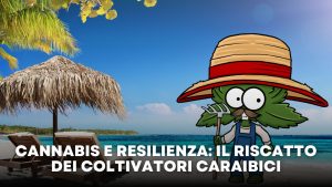 Cannabis e resilienza il riscatto dei coltivatori caraibici legalweed