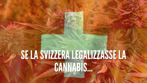 Se la Svizzera legalizzasse la cannabis… cbd varese cbditalia legalweed