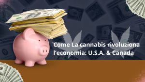 Come La cannabis rivoluziona l’economia U.S.A. & Canada