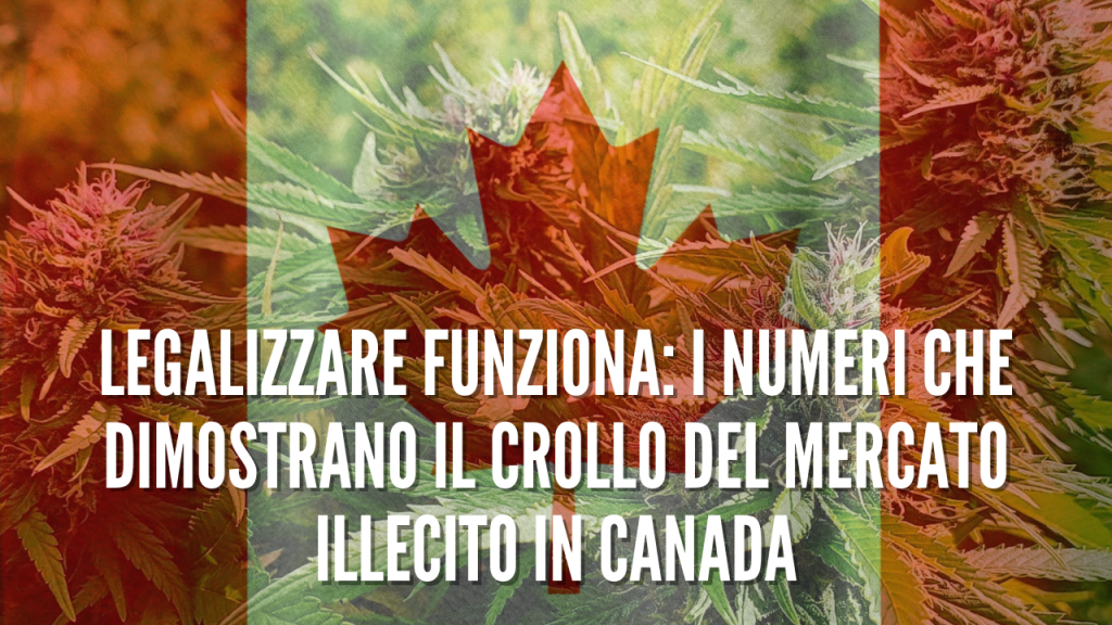 legalizzare in canada ha funzionato