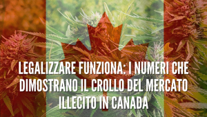 legalizzare in canada ha funzionato