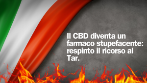 Il CBD diventa un farmaco stupefacente: respinto il ricorso al Tar