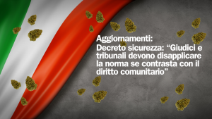 nuovo decreto legge ddl italia macero settore cbd (2)