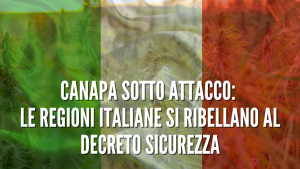 Canapa sotto attacco le Regioni italiane si ribellano al Decreto Sicurezza