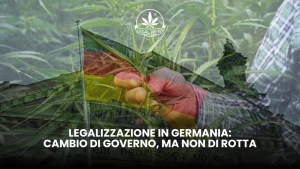Coltivazione domestica di cannabis germania
