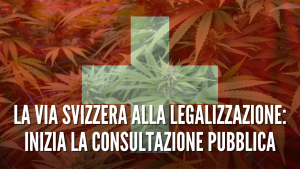 legalizzazione svizzera thc legalweed italia