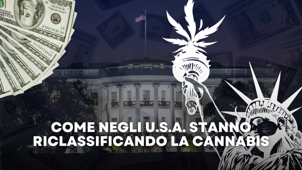 Come La cannabis rivoluziona l&rsquo;economia U.S.A. & Canada (2)