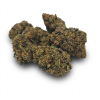 Mango Cbd