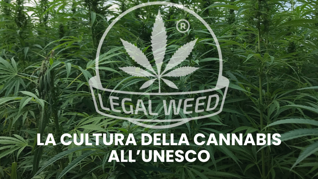 La cultura della cannabis all&rsquo;UNESCO
